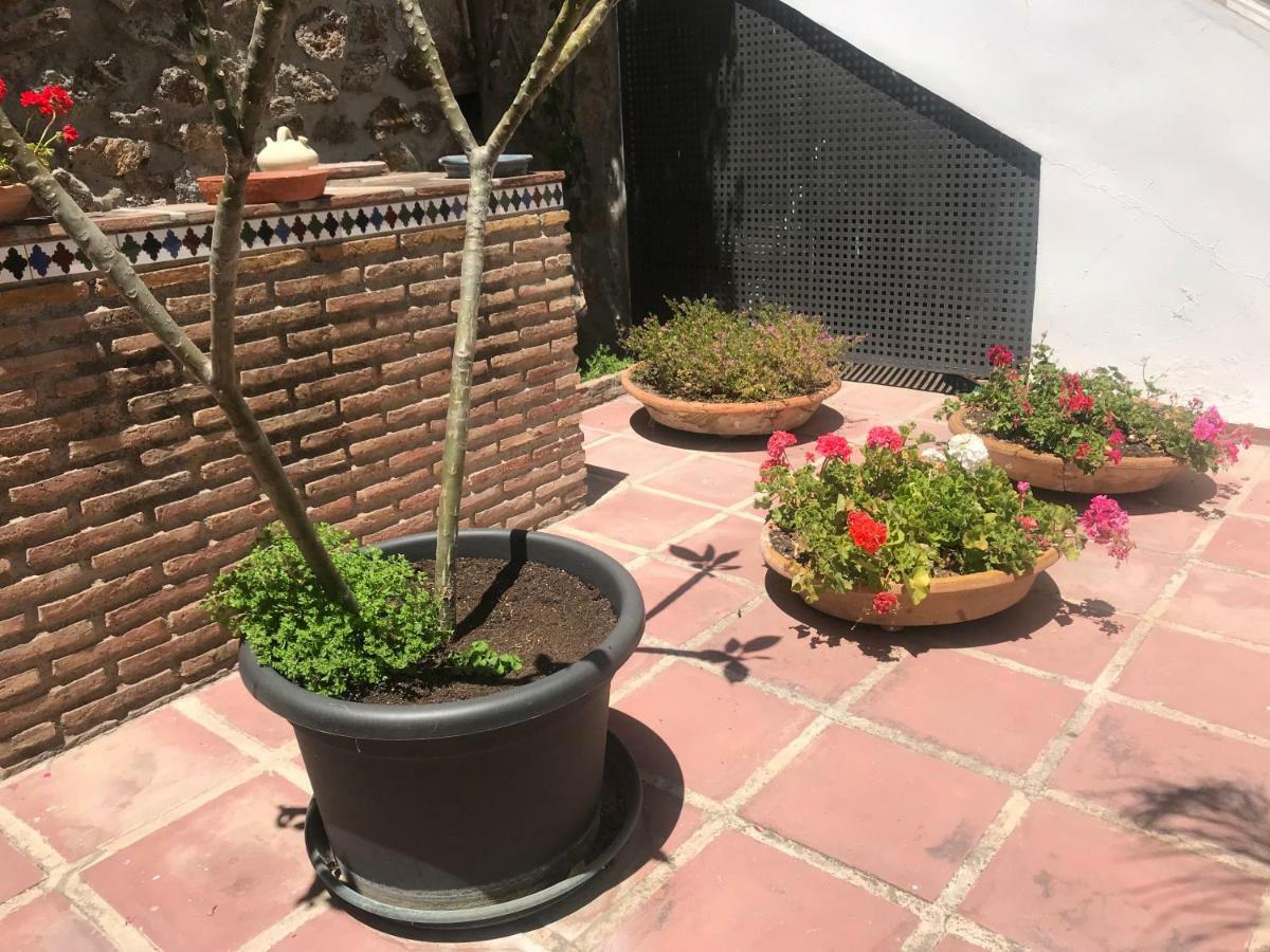 Apartamentos Turisticos La Mundial Málaga Extérieur photo